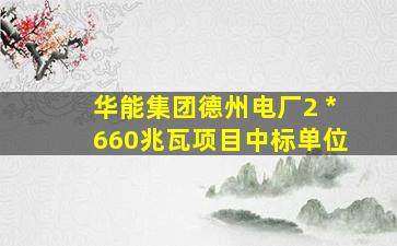 华能集团德州电厂2 *660兆瓦项目中标单位